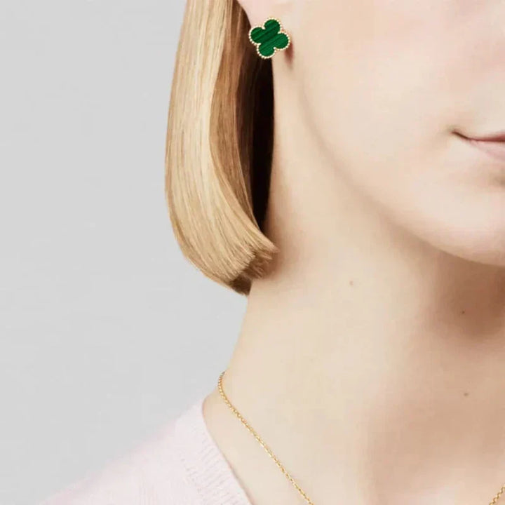 CLOVER | Paquete Verde Premium